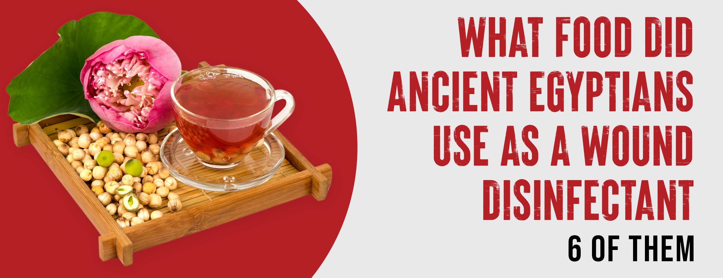 6 Ancient Egyptian Foods Used as Wound Disinfectants
