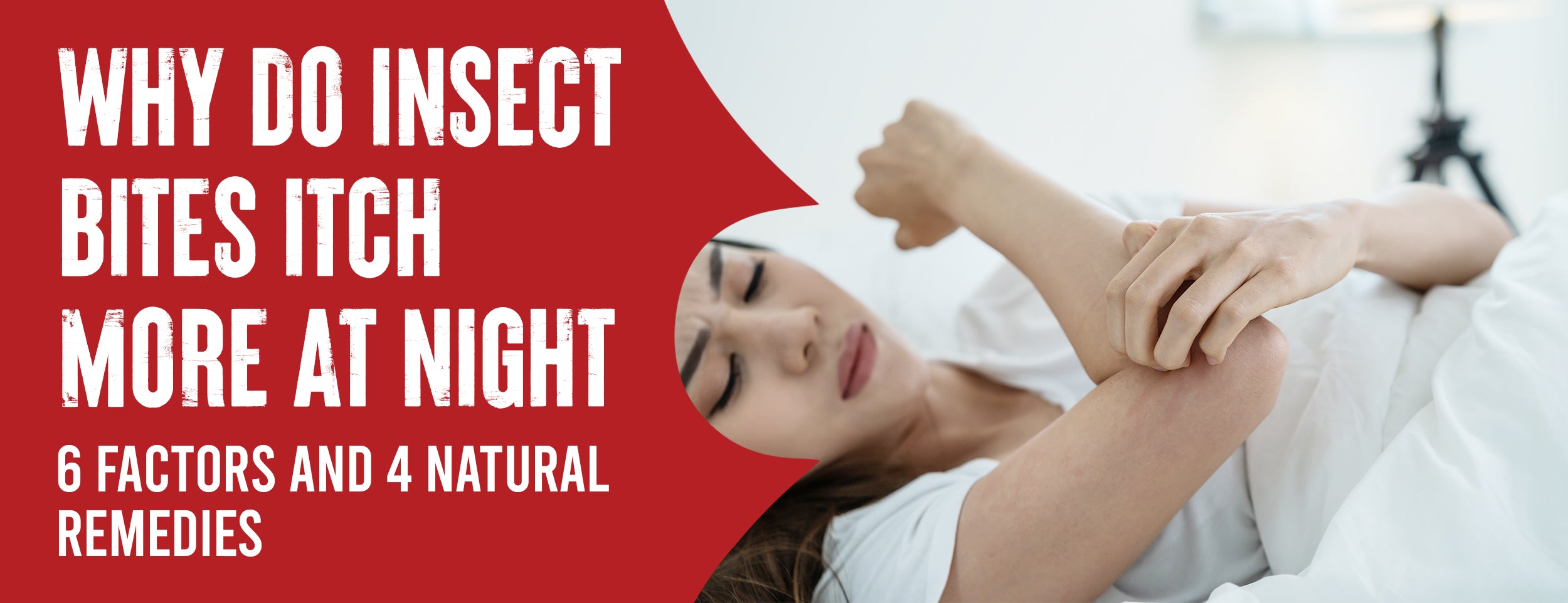 6 Reasons Why Itches From Insect Bites Increase at Night [3 OTC Options]